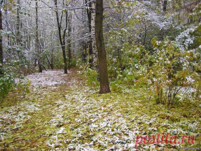 822936534.jpg (1400×1050)