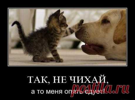 Спокойствие! Только спокойствие...