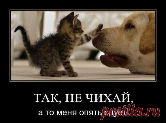 Спокойствие! Только спокойствие...