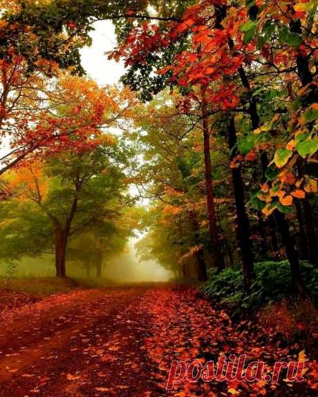 Осенью природа красок не жалеет ...