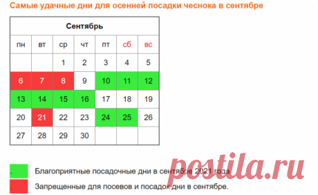 Когда лучше сажать озимый чеснок в 2021 году | 6 соток