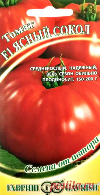 Семена. Томат 