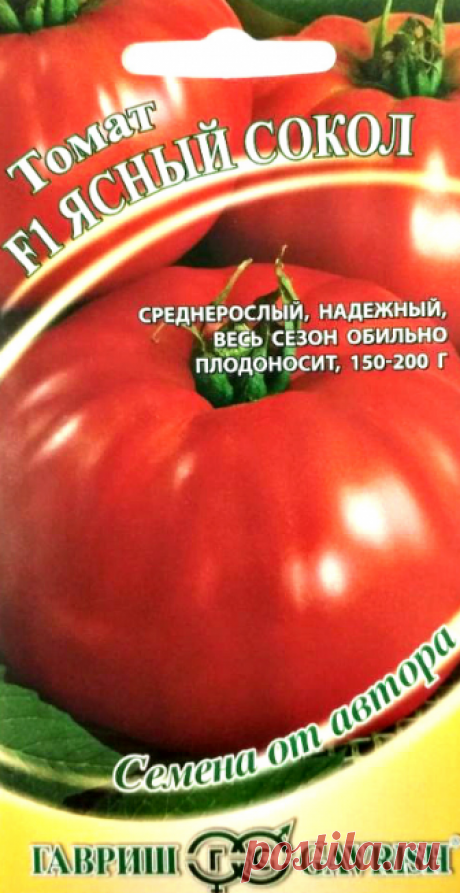 Семена. Томат "Ясный сокол F1" (12 штук)