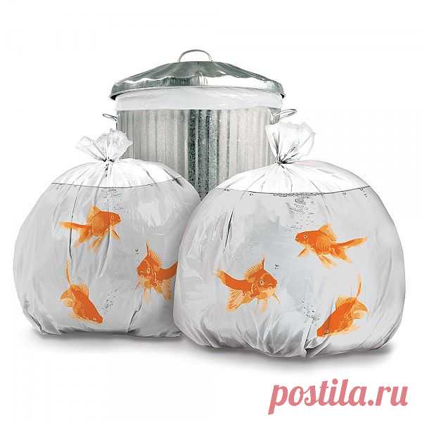 Дизайнерские штучки