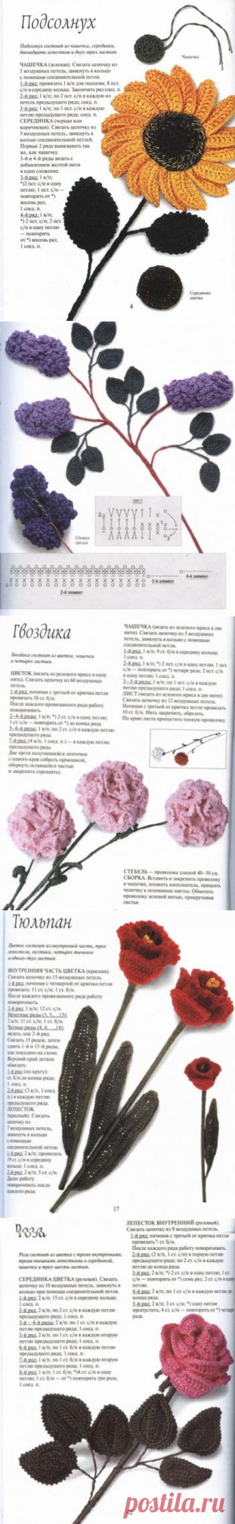 Книга " Цветы связанные крючком" / Вязание крючком / Вязание крючком для начинающих