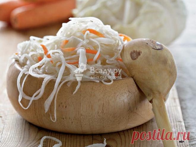 Рецепт маринованной капусты
