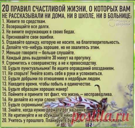Соблюдайте эти правила и жизнь наладится!