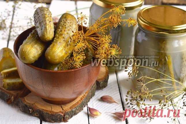 Хрустящие квашеные огурцы рецепт с фото, как приготовить на Webspoon.ru