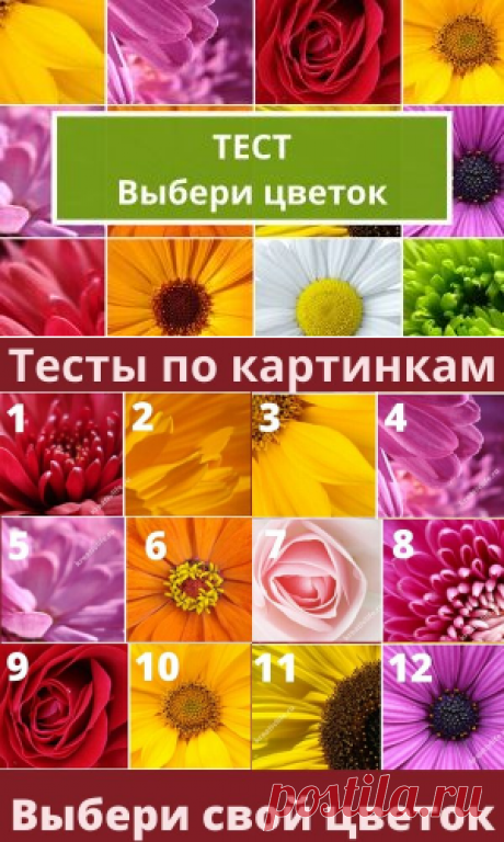 Тесты по картинкам: выбери цветок и узнай сильные стороны | Психология