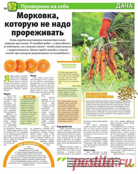 Морковка, которую не надо прореживать