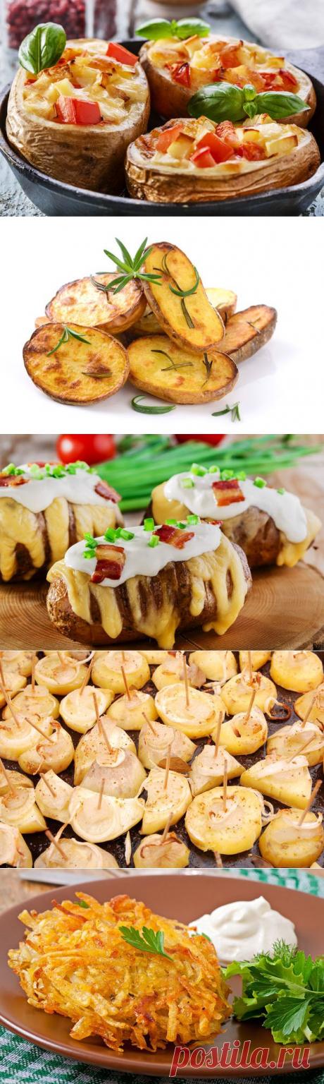 Удивительные блюда из обычной картошки / Журнал садовода ShishoK / 7dach.ru
