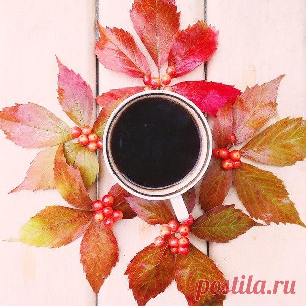 КАКОЙ СЕГОДНЯ ПРАЗДНИК? 28 Ноября 2016 г. – Понедельник • День пьяного ежика • День профессионального бухгалтера14 лет • День придумывания новых слов • Киберпонедельник (Cyber Monday) • День независимости - Мавритания56 лет • День независимости - Панама195 лет • Именины у Гурия, Димитрия • Начало Рождественского поста • День преподобного Паисия Величковского