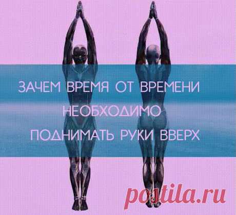 Узнайте зачем время от времени НЕОБХОДИМО поднимать руки вверх
4 полезные причины поднимать руки вверх

Естественное положение рук человека — опущенные вниз. Но, как утверждают физиотерапевты, очень полезно в течение дня поднимать их вверх.

Во-первых, при поднятых руках желудочно-кишечный тракт становится менее извилистым, что способствует быстрому прохождению пищи. Таким образом происходит профилактика процессов гниения и брожения, развития дисбактериоза.

Во-вторых, под...