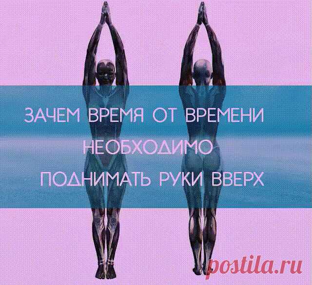 Узнайте зачем время от времени НЕОБХОДИМО поднимать руки вверх
4 полезные причины поднимать руки вверх

Естественное положение рук человека — опущенные вниз. Но, как утверждают физиотерапевты, очень полезно в течение дня поднимать их вверх.

Во-первых, при поднятых руках желудочно-кишечный тракт становится менее извилистым, что способствует быстрому прохождению пищи. Таким образом происходит профилактика процессов гниения и брожения, развития дисбактериоза.

Во-вторых, под...