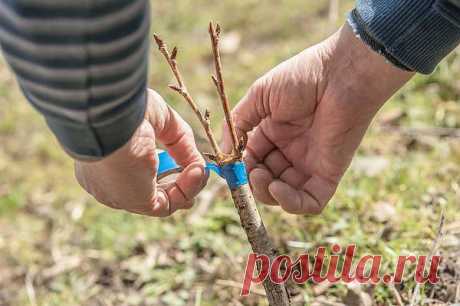 (19) Одноклассники