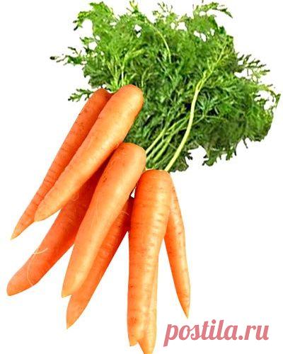 Как очистить морковь за 10 секунд!