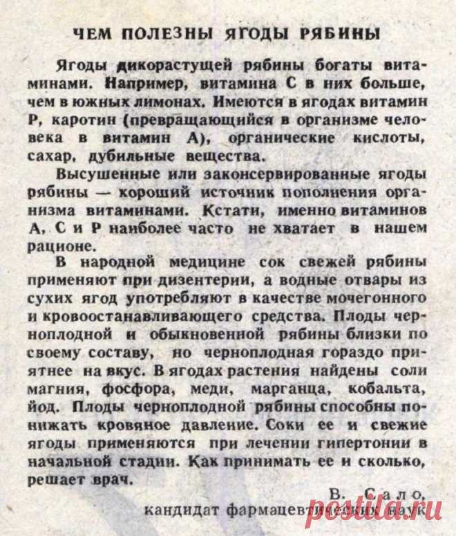 Чем полезны ягоды рябины