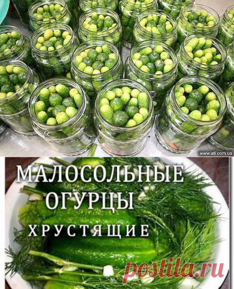 (9) Одноклассники