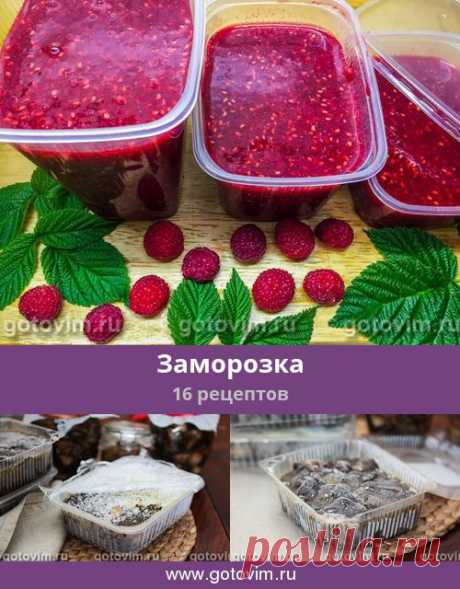 Заморозка, 22 рецепта, фото-рецепты Заморозка – простой способ заготовить и сохранить продукты впрок. Однако не все продукты можно замораживать, потому что некоторые после заморозки теряют вкус.