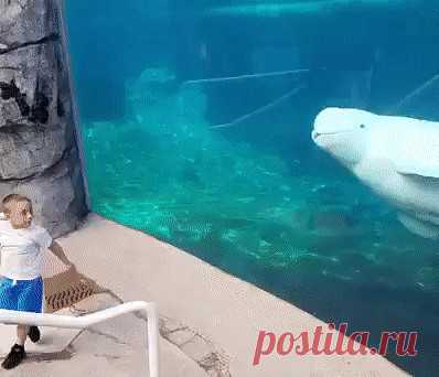 Кто на кого пришел посмотреть?Одноклассники
