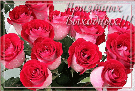 (14) Мой Мир@Mail.Ru