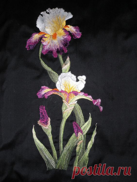 Silk Embroidered Irises  /  Mary Corbet's Needle 'n Thread  
Сохранено на доску: Embroidery  
 |  Pinterest: инструмент для поиска и хранения интересных идей