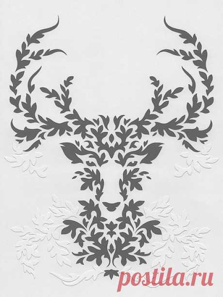 gray deer | Anatoly Vorobyev | Flickr