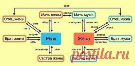 Дочь, пока была маленькой, все время пыталась выяснить кто кому кем приходится...