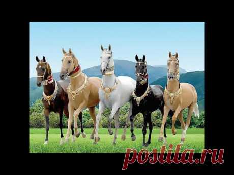 Юрий Пахомов