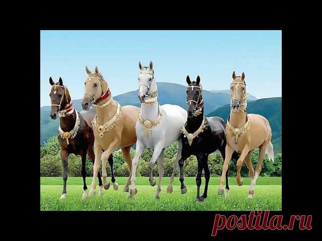 Юрий Пахомов