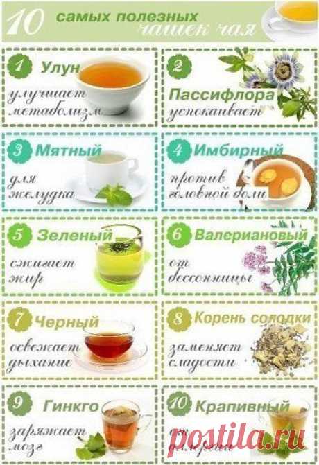 Самые полезные чаи — Делимся советами