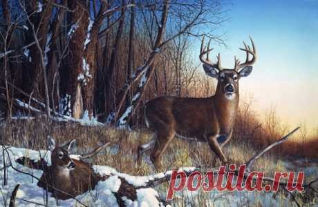 Jim Hansel Editions, LLC. Resting Place
