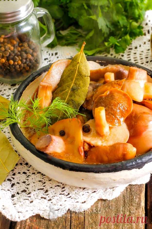 Маринованные маслята на зиму — пошаговый рецепт с фото. Это очень вкусная закуска, которую можно подать даже на праздничный стол!