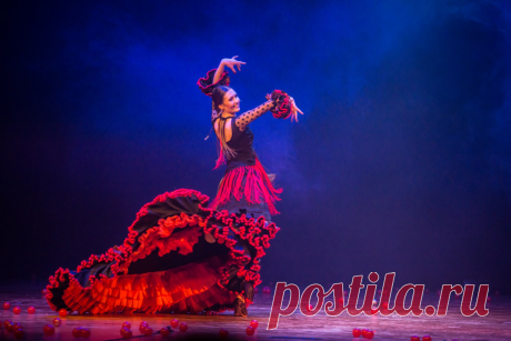 Танец, помогающий от глаукомы? Ученые дают неожиданный совет! | Эксимер | Яндекс Дзен