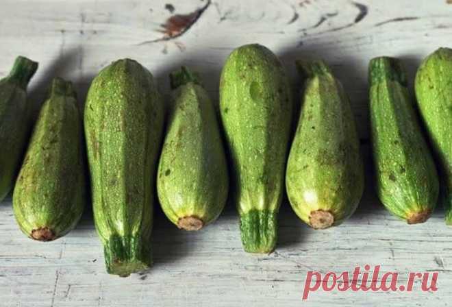 4 ИЗУМИТЕЛЬНЫХ РЕЦЕПТА ИЗ КАБАЧКОВ