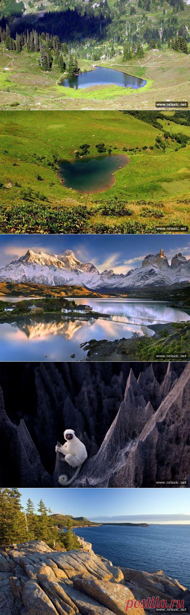 Мы любим эту планету 1-13 | Релаксик