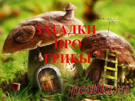 Загадки про грибы для детей - YouTube