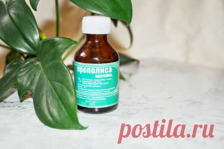 Когда пчелы умеют делать не только вкусный мед😉 | Дневник Рапунцель | Яндекс Дзен