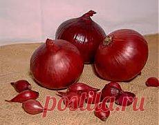 Лук - Полезные свойства лука