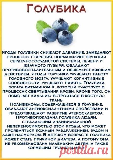 Голубика - полезные свойствав