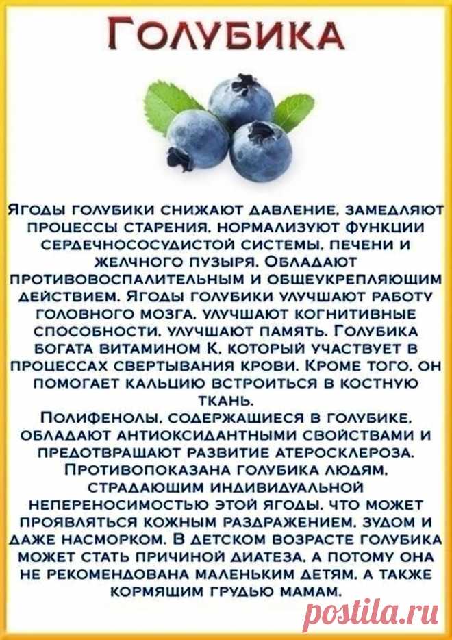 Голубика - полезные свойствав