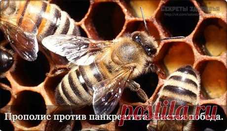 Как вылечить панкреатит без таблеток!