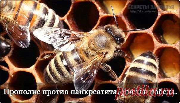 Как вылечить панкреатит без таблеток!