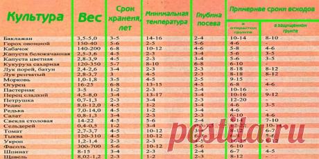 Какой срок годности у семян: от чего он зависит - Сад и огород