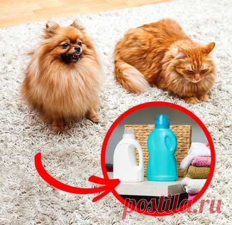 16 гениальных способов применить обычные вещи иначе