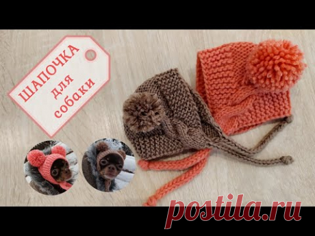 Шапочка для собаки, вязание спицами