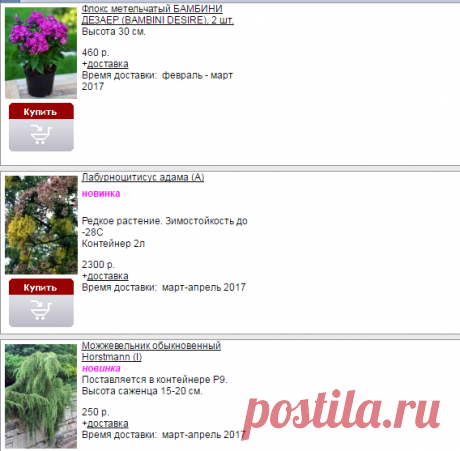 Порядок оформления предварительных заказов.