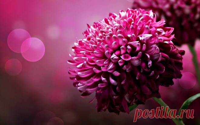 1425.jpg (1680×1050)