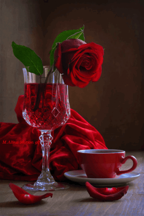 Buongiorno e buona settimana naviganti 💫💫💋💋💋💋💕💕💕💕💕💕☕
Ann@❣
