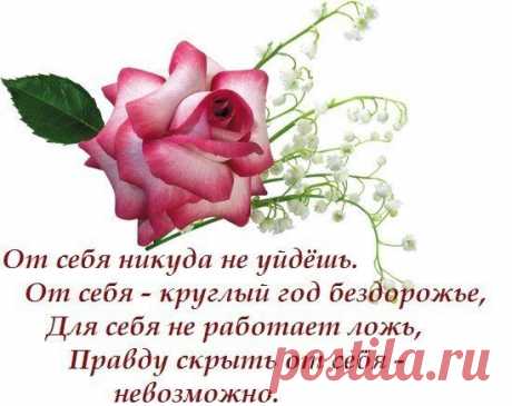 Анастасия Бурилова-Жданова